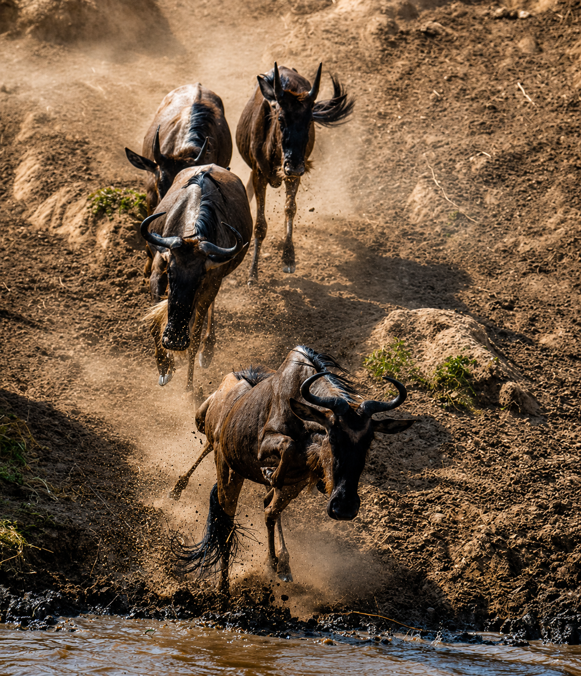 Kenya safari experience