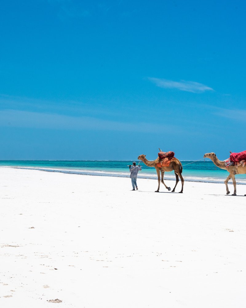 Diani Beach Kenya Indian Ocean coast