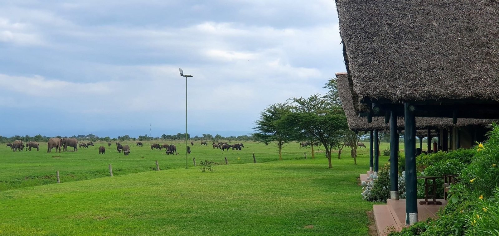 9 accommodation wildlife views