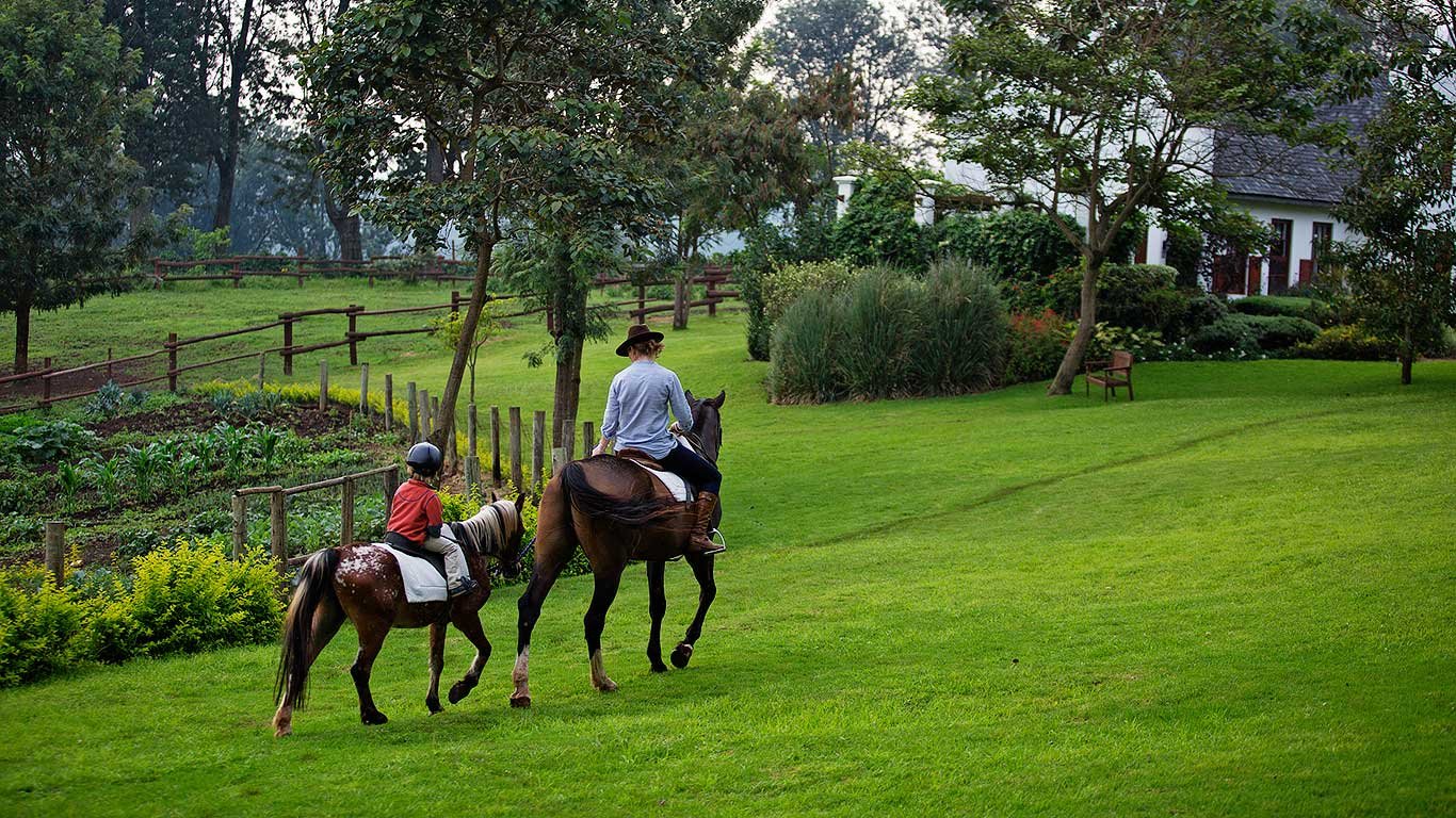 TheManor Horse Riding 2