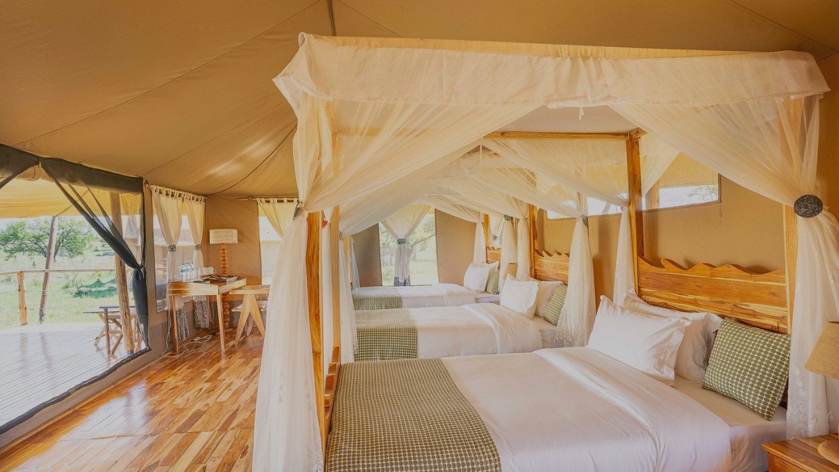 triple bed with amazing