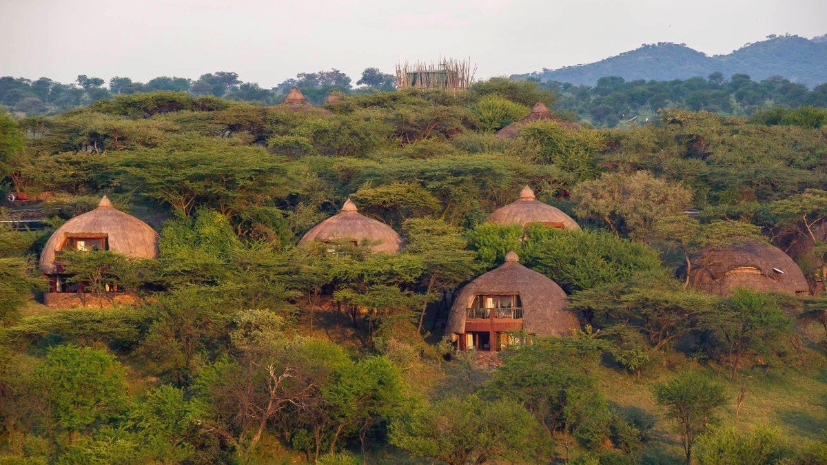 serenaserengeti 137