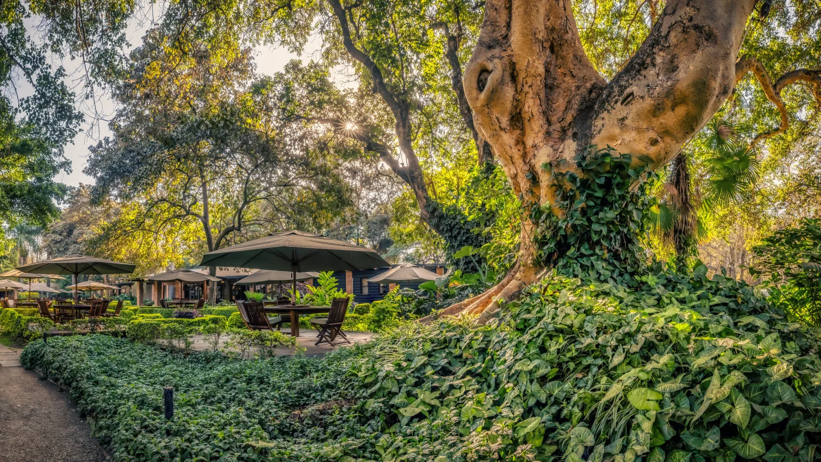 Elewana Arusha Coffee Lodge