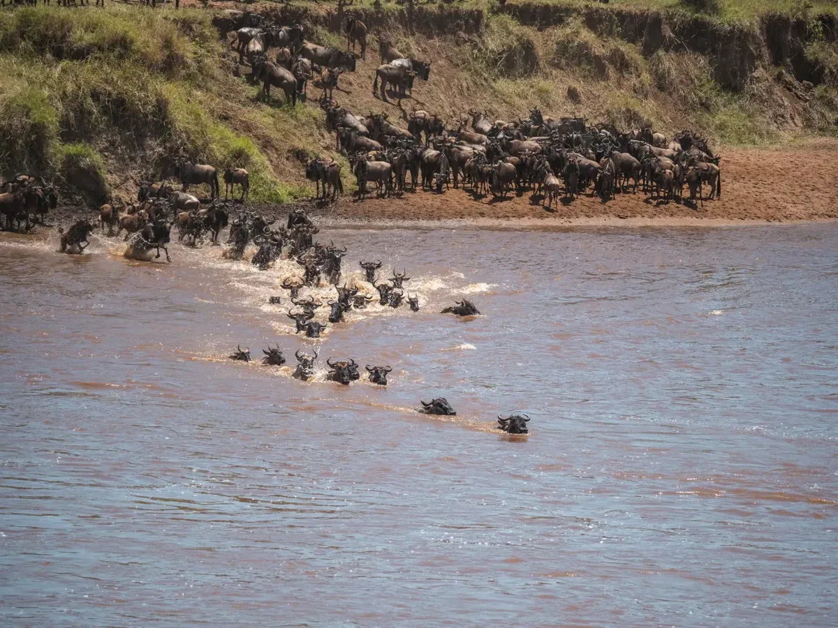 Serengeti