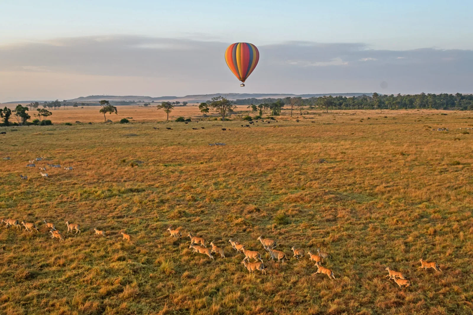 Maasai Mara