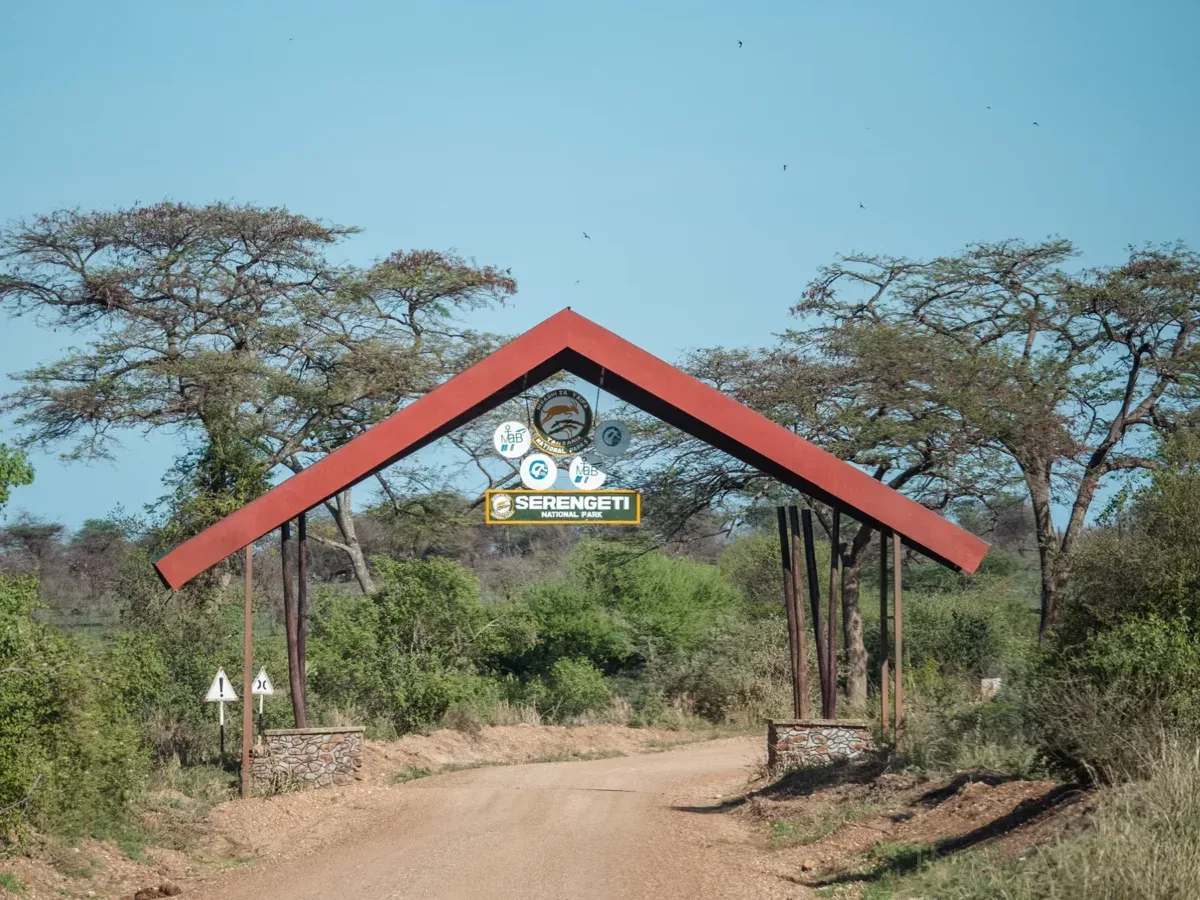 Serengeti