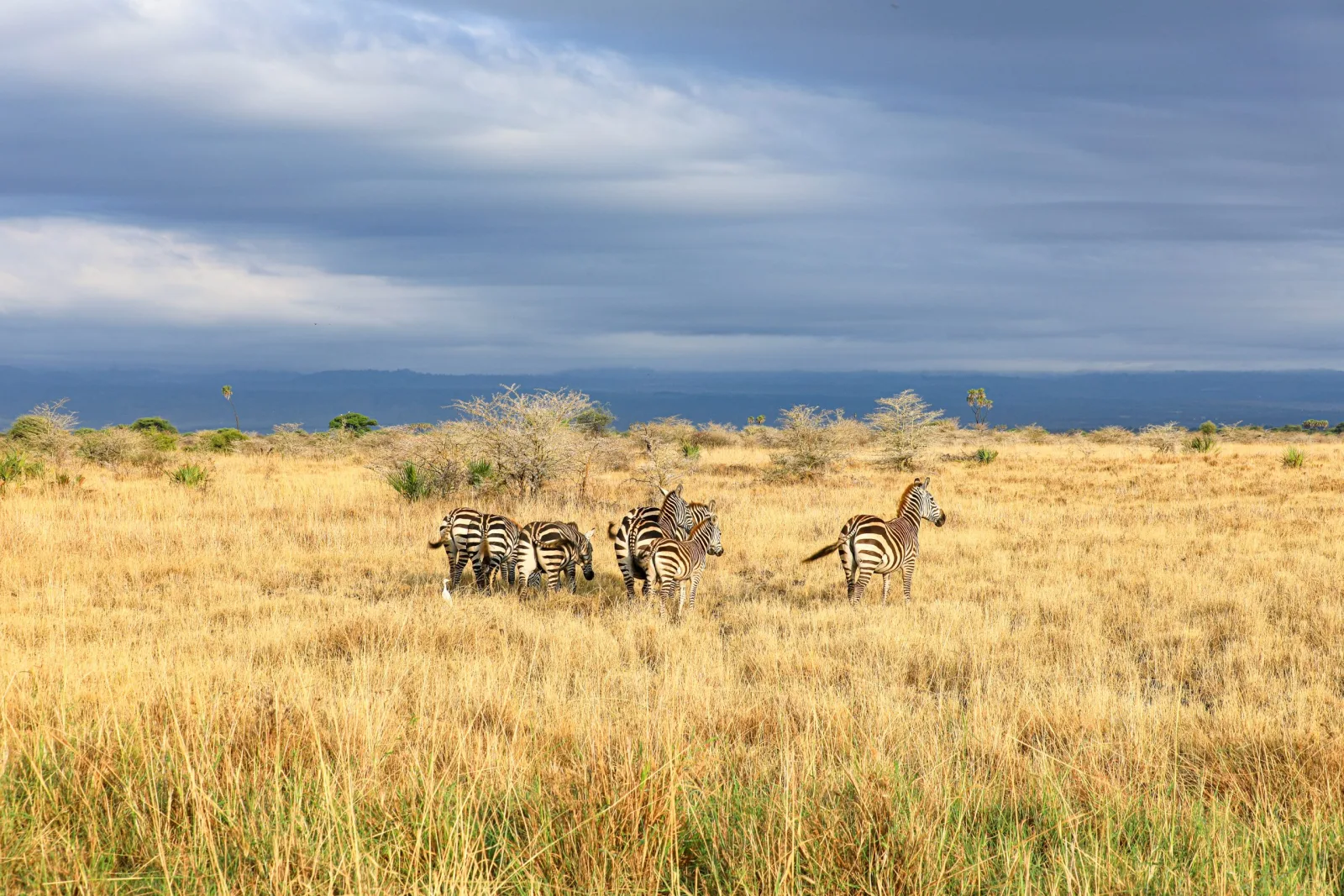 Kenya