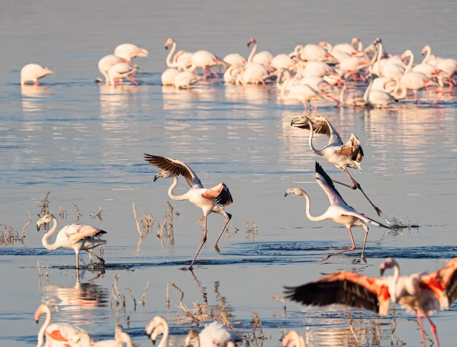 Lake Nakuru National Park