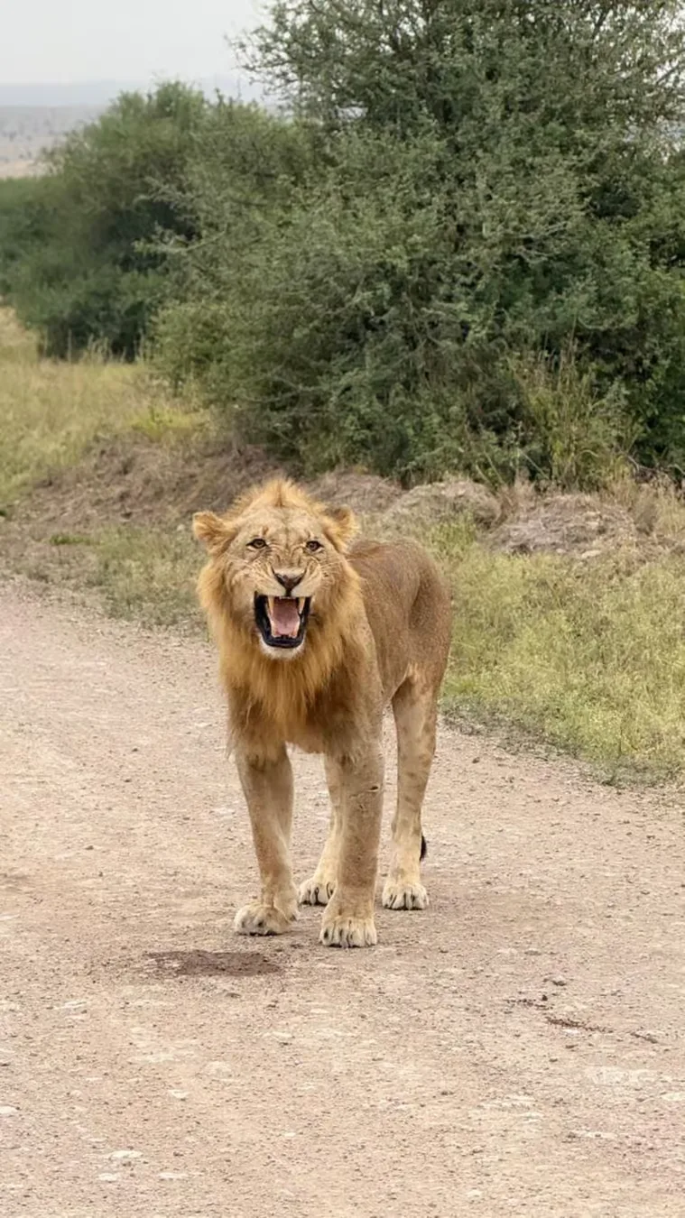 Nairobi