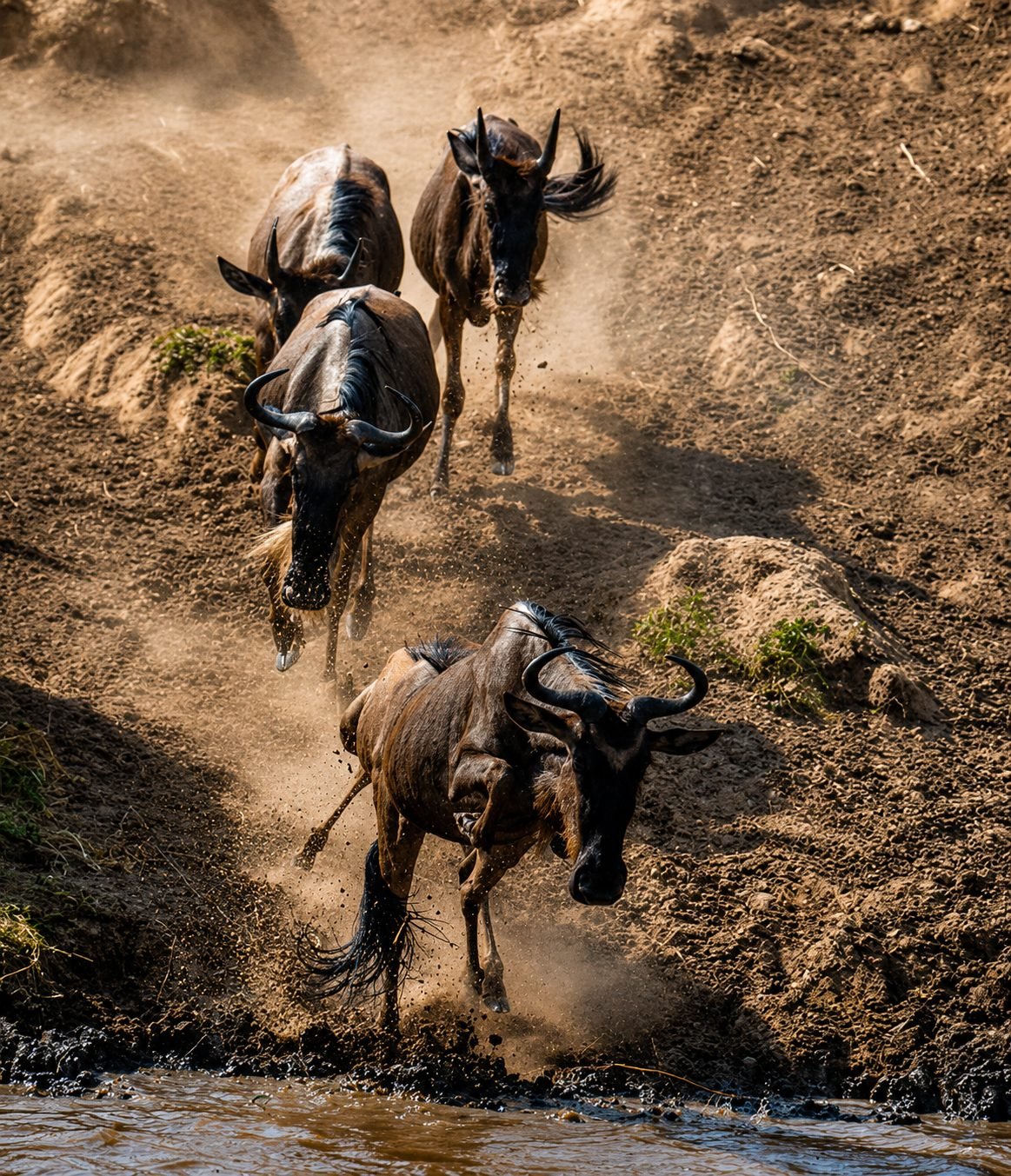 Kenya safari experience