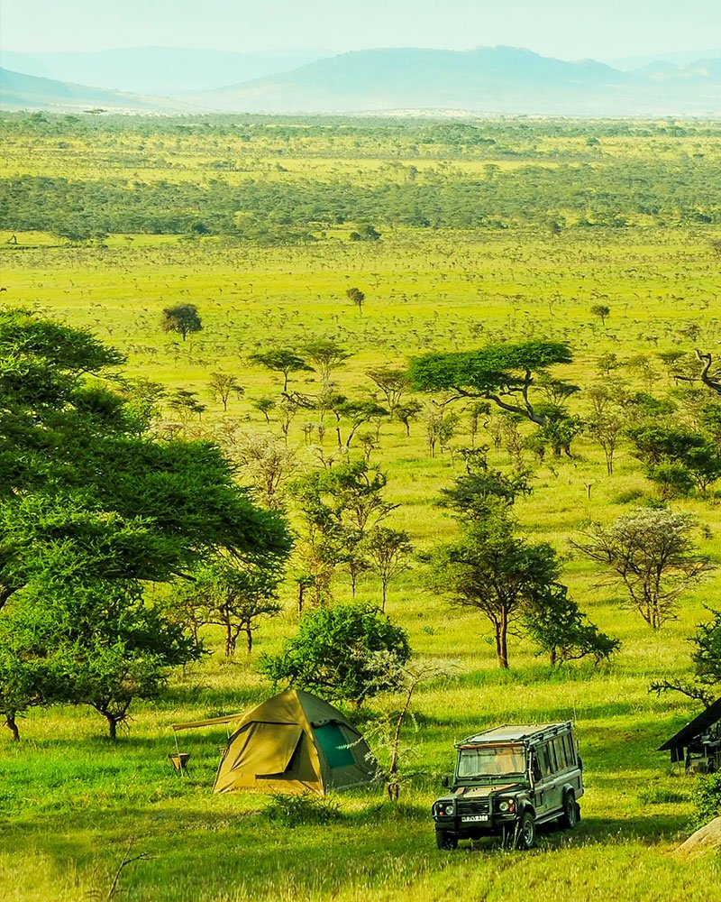 The Serengeti Tanzania safari