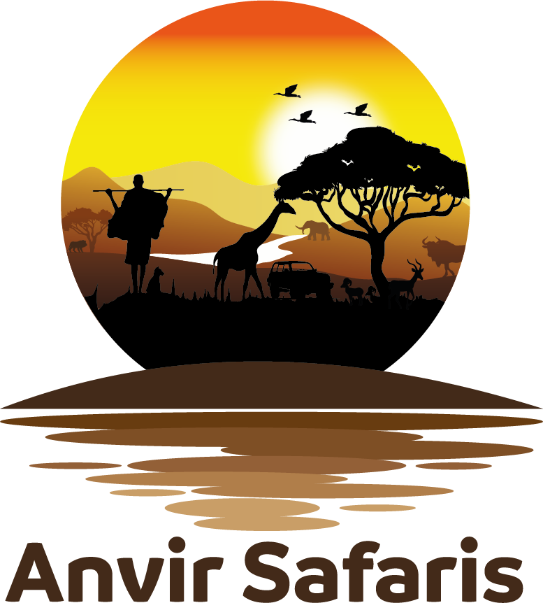 Anvir Safaris