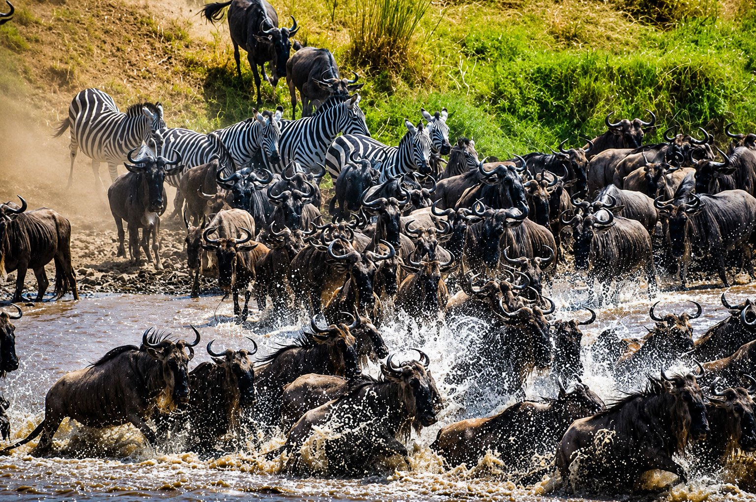 Great Migration Kenya Tanzania safari Maasai Mara