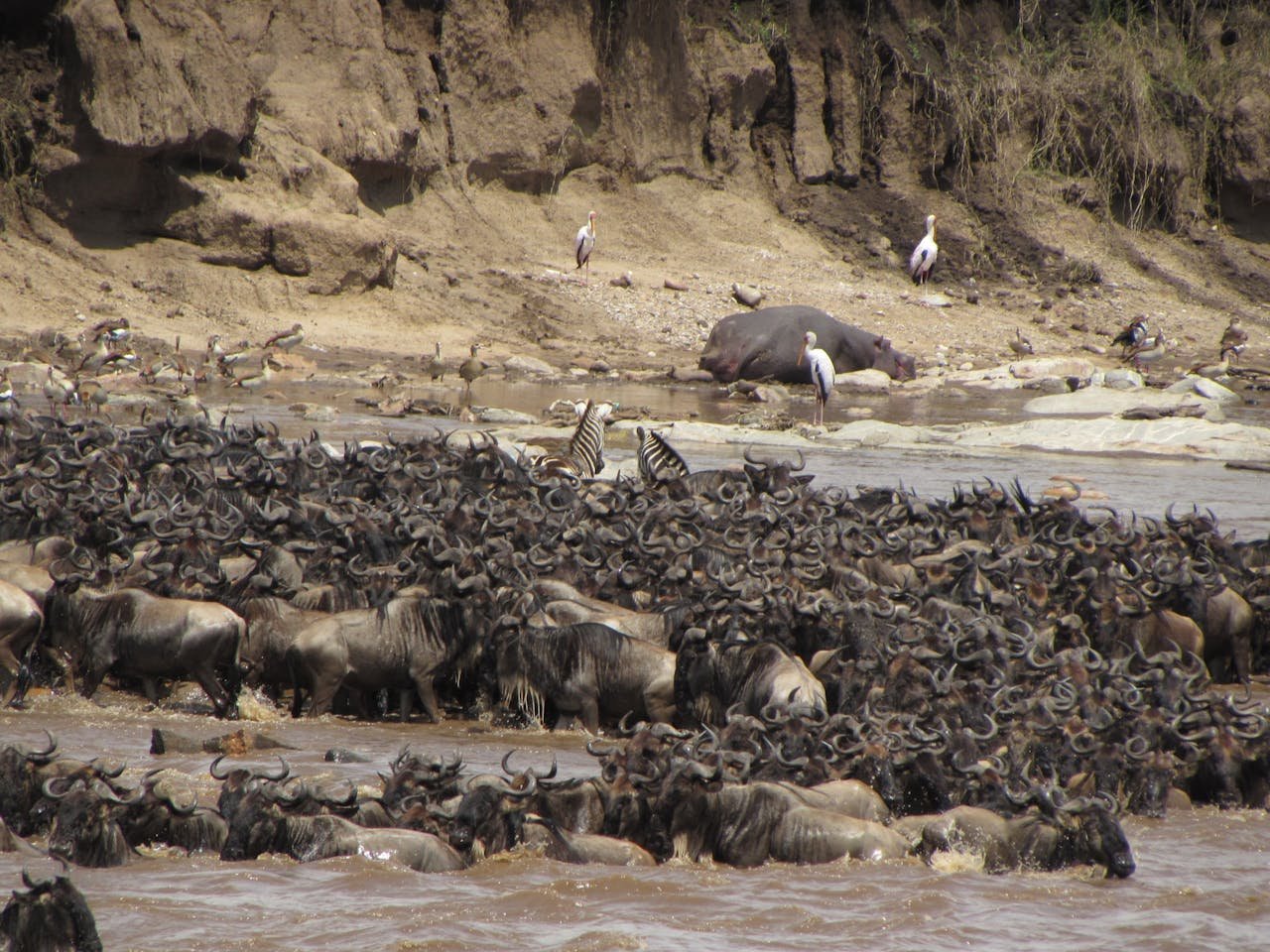 Lake Manyara National Park