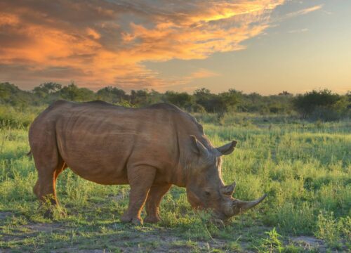  Amboseli National Park