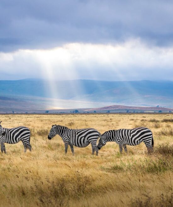 Amboseli, Kenya