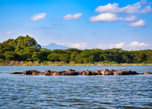 Lake Manyara National Park