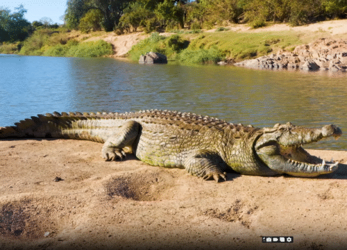 Irresistible Nairobi – 5 Days / 4 Nights