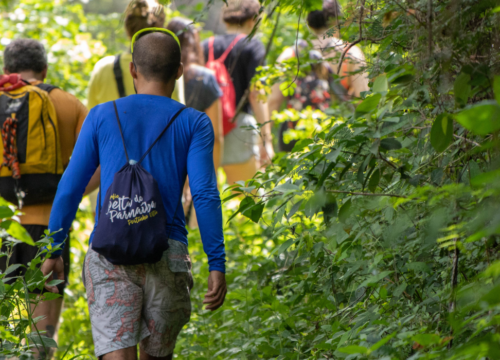 6-Day Gorillas & Walking Safari in Uganda