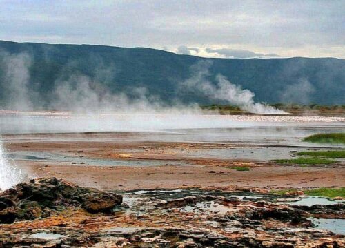 Lake Bogoria 