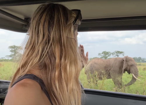 12-day Uganda Exploration by Road