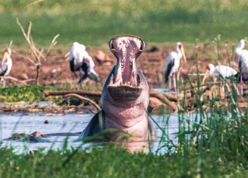 Lake Manyara