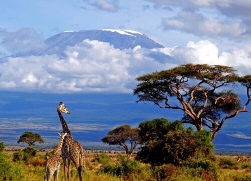 Tanzania