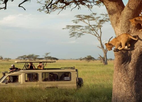 Serengeti National Park