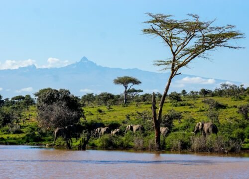 Mount Kenya