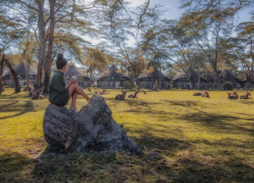 Lake Naivasha Sopa Lodge