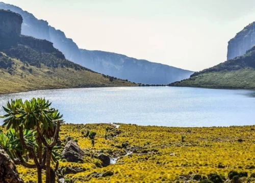 Aberdare National Park