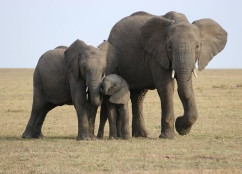 Chyulu Hills National Park