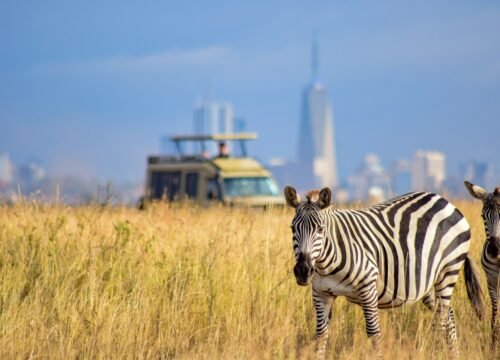 Nairobi National Park
