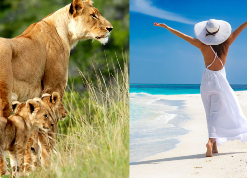 7 Day Bush and Beach Safari in Kenya