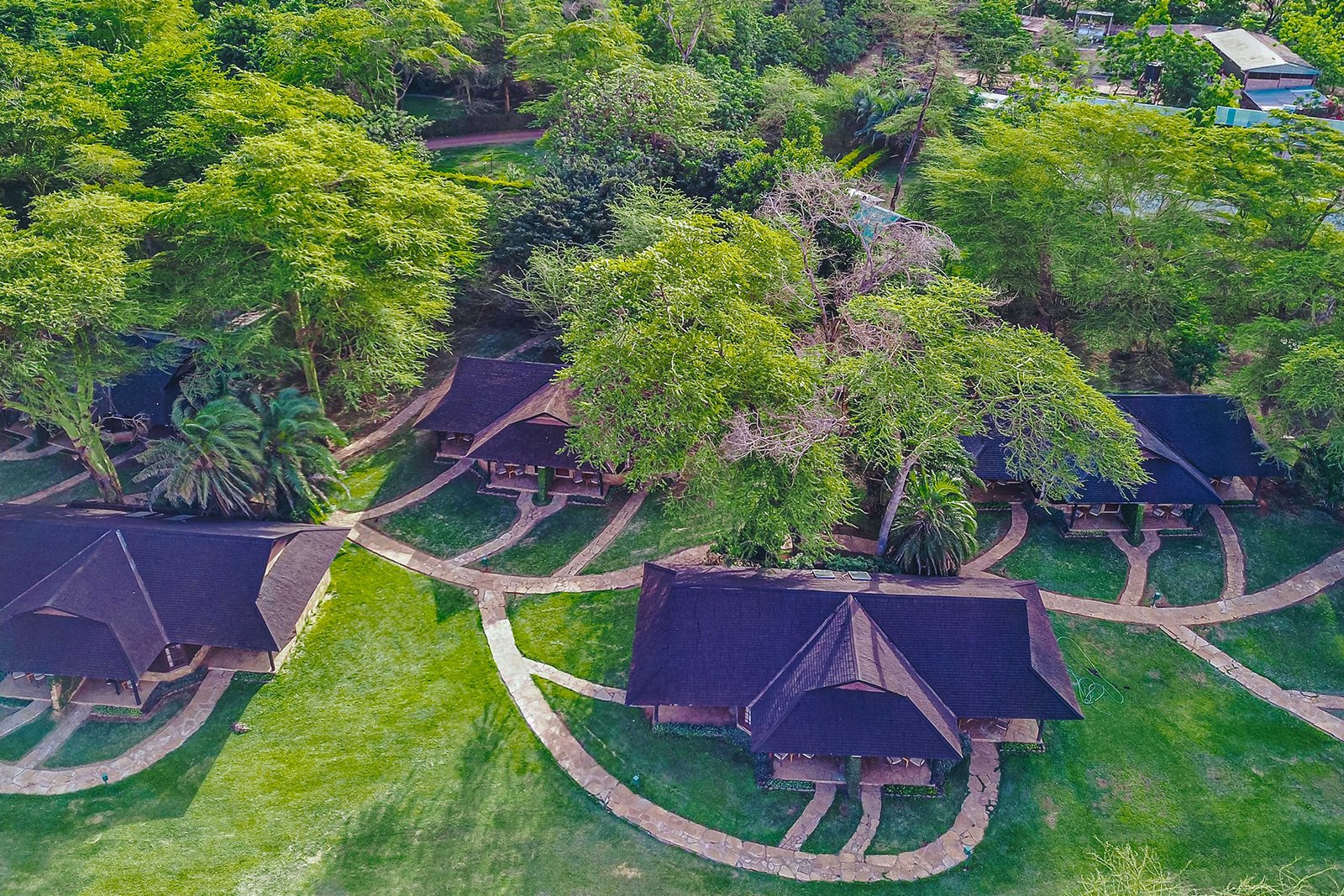 oltukai-lodge-gallery-01