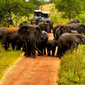 8-days-explore-rwanda-adventure-safari