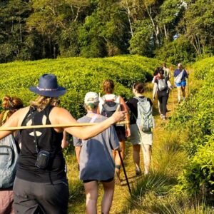 8-days-rwanda-safari-adventure-1024×658