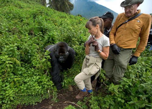 8 Days Rwanda Adventure Safari