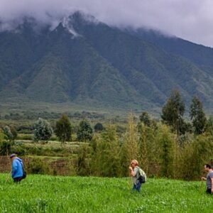 xr:d:DAFHD45XHNM:79,j:44698907806,t:23010513