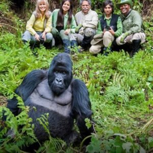 gorilla-trekking-in-rwanda–800×450